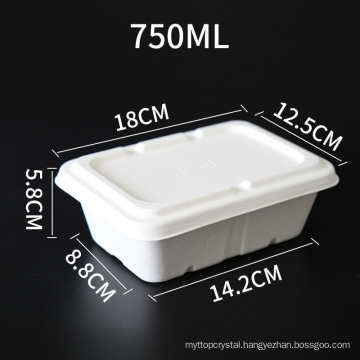 Disposable Biodegradable Eco Sugarcane Bagasse Paper Food Container Tray